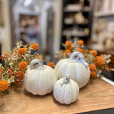 Distressed White Pumpkins | 3 Sizes