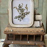 Wakefield Botanicals Frame | Fern