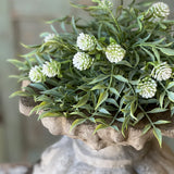 Thimble Buds Half Sphere | 10" | Cream