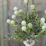 Thimble Buds Bush | 17" | Cream