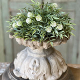 Thimble Buds Half Sphere | 10" | Cream