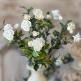 Rosarium Florerts Bush | 14"