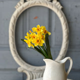 11" Buttercup Bundle | Yellow