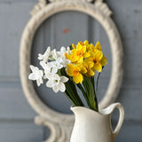 11" Buttercup Bundle | Yellow