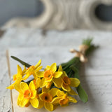 11" Buttercup Bundle | Yellow