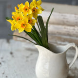 11" Buttercup Bundle | Yellow