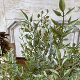 Mixed Sage Candle Ring | 6"