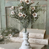 Charade Cosmos Bush | 15"