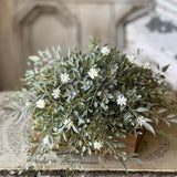 Chadwick Buds Half Sphere | 11"