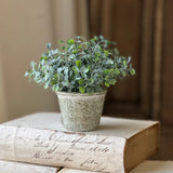 Loveleaf Belmont Pot