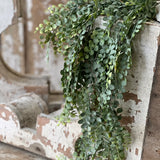 Cherub Vine Hanging | 30"