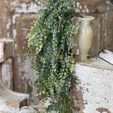 Cherub Vine Hanging | 30"