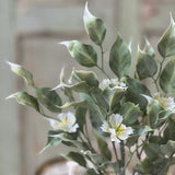 Idle Hour Bush | 14" | White