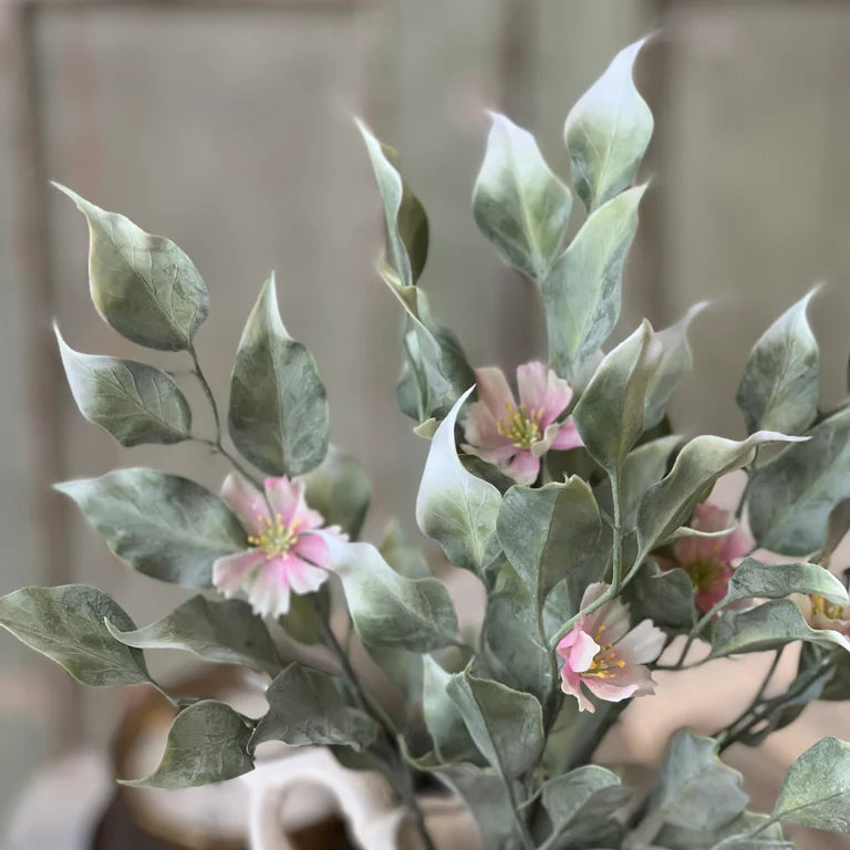 Idle Hour Bush | 14" | Pink