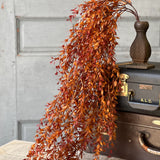 Ever Embers Hanging