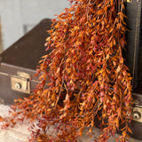 Ever Embers Hanging