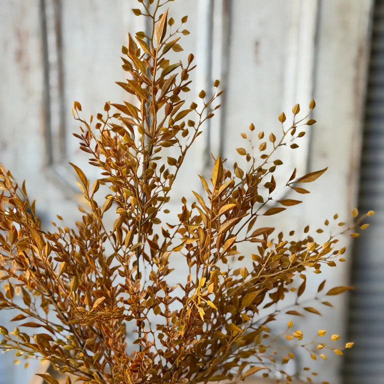 Barley Twist Sage Bush | 22"