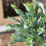 Rainwashed Bush | 14"