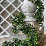 Galilee Boxwood Garland | 6'