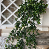 Galilee Boxwood Hanging | 32"