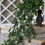 Galilee Boxwood Hanging | 32"