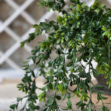 Galilee Boxwood Hanging | 32"