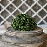 Galilee Boxwood Half Sphere | 7"