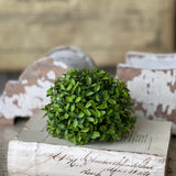Lyric Boxwood Half Sphere | 4.5"