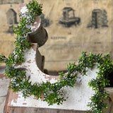 Lyric Boxwood Garland | 6'