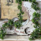 Lyric Boxwood Garland | 6'