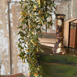Burlington Leaves Hanging