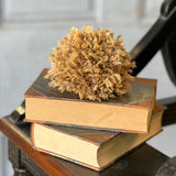 Sungold Half Sphere | 5"