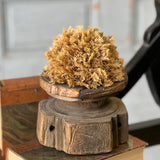 Sungold Half Sphere | 5"