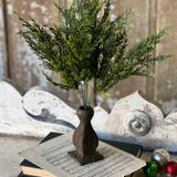 Clifton Hills Cedar Bush | 20"