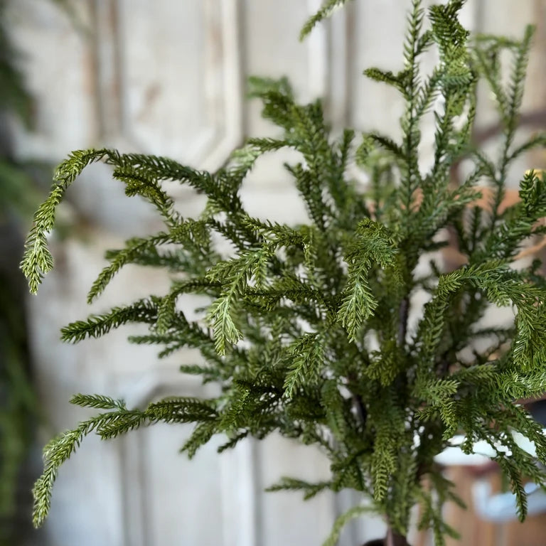 Greenwood Valley Bush | 20"