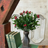 Noelle Greens Bush | 12"