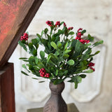 Noelle Greens Bush | 12"