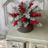 Winterberry Charm Half Sphere | 10"