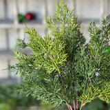 Verdant Cedar Bush | 17"