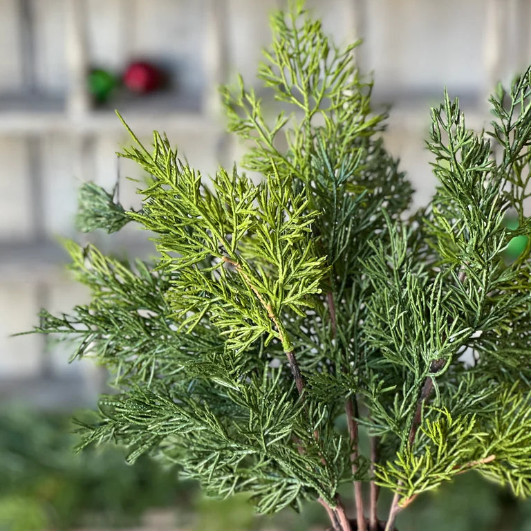 Verdant Cedar Bush | 17"