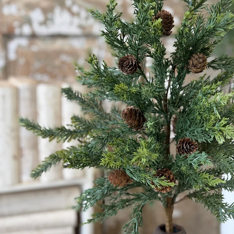 Crosswoods Juniper Bush | 20"