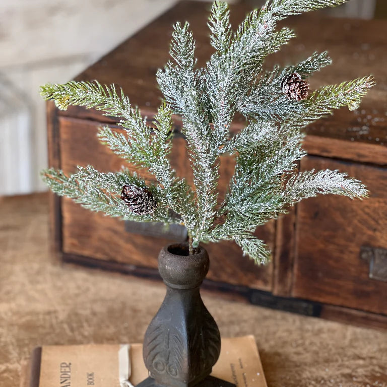 Frosted White Spruce Greenery