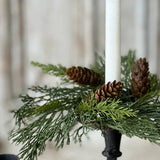 Advent Greens Candle Ring | 2"