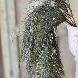 Shimmering Cedar Hanging | 32"