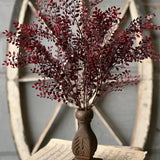 Red Ruta Rue Bush | 18"