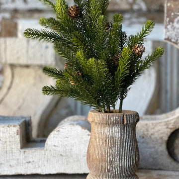 Angel Pine Greenery