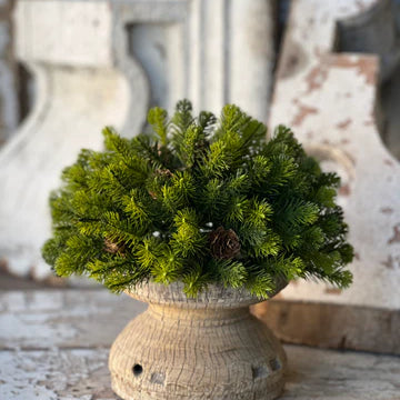 Angel Pine Greenery