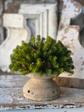 Load image into Gallery viewer, Angel Pine Greenery
