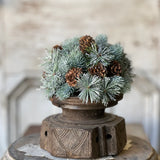 Pine Cone Pizzaz Half Sphere