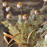 Poppy Pod Bush | Fog